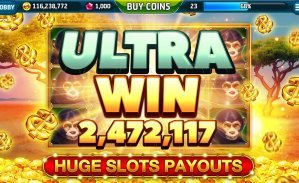 bets 7